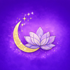 lumiereluxemedspa-com logo