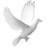 St. Columban Catholic Church logo