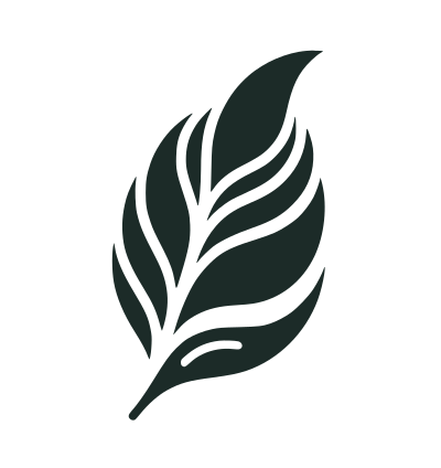 LB Skin & Wellness logo