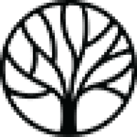 LangTree Lake Norman logo