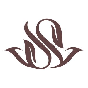 thesilkheadspa-com logo