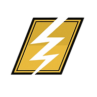 Goldman Electric Motors logo