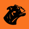 Christian Electric logo