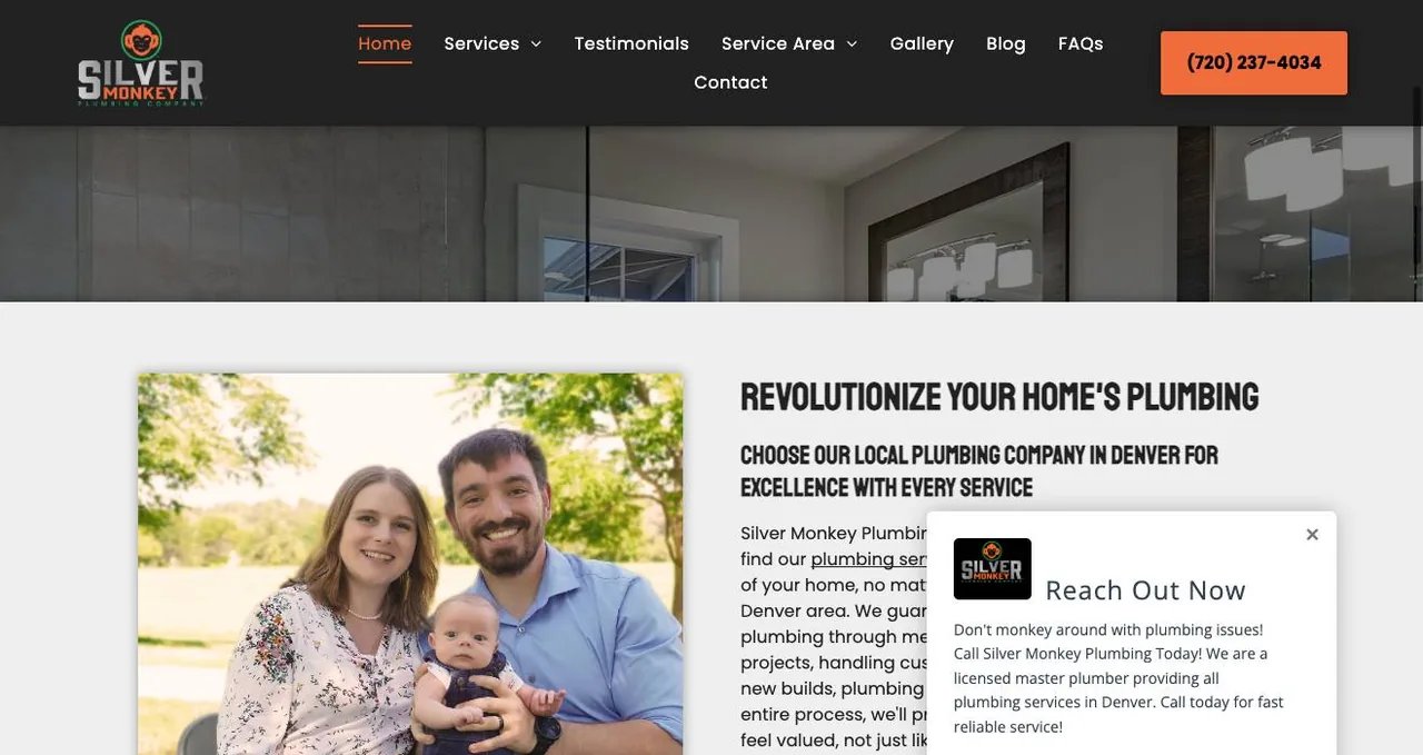 Silver Monkey Plumbing cover