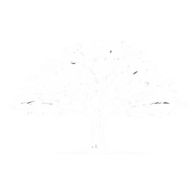 Johnny's Tree Service logo