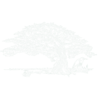 Basnight's Lone Cedar Cafe logo