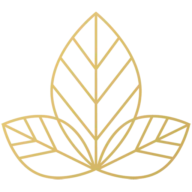Austin Skin & Wellness logo