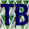 Tour Boone logo