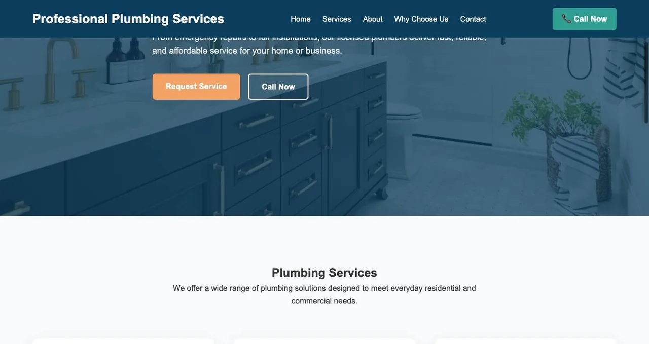Professional Plumbing Services cover