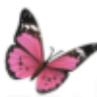 Bellezza Medical Aesthetics, PLLC logo