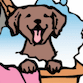 BOWZER BATHS DOG GROOMING logo