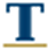 Thirdstone Properties LLC logo