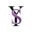 youthfulsolutionstx-com logo