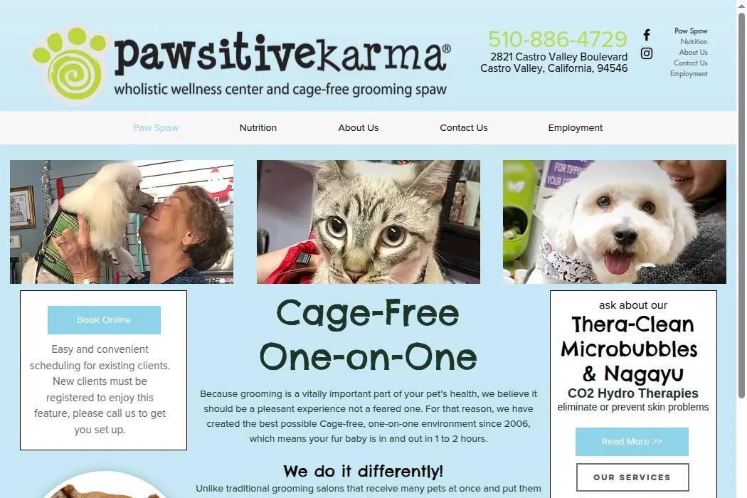 Pawsitive Karma cover