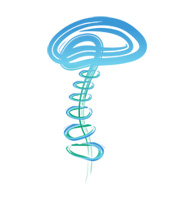 Southeast Neurology & Pain Management logo