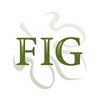 FIG Insurance logo