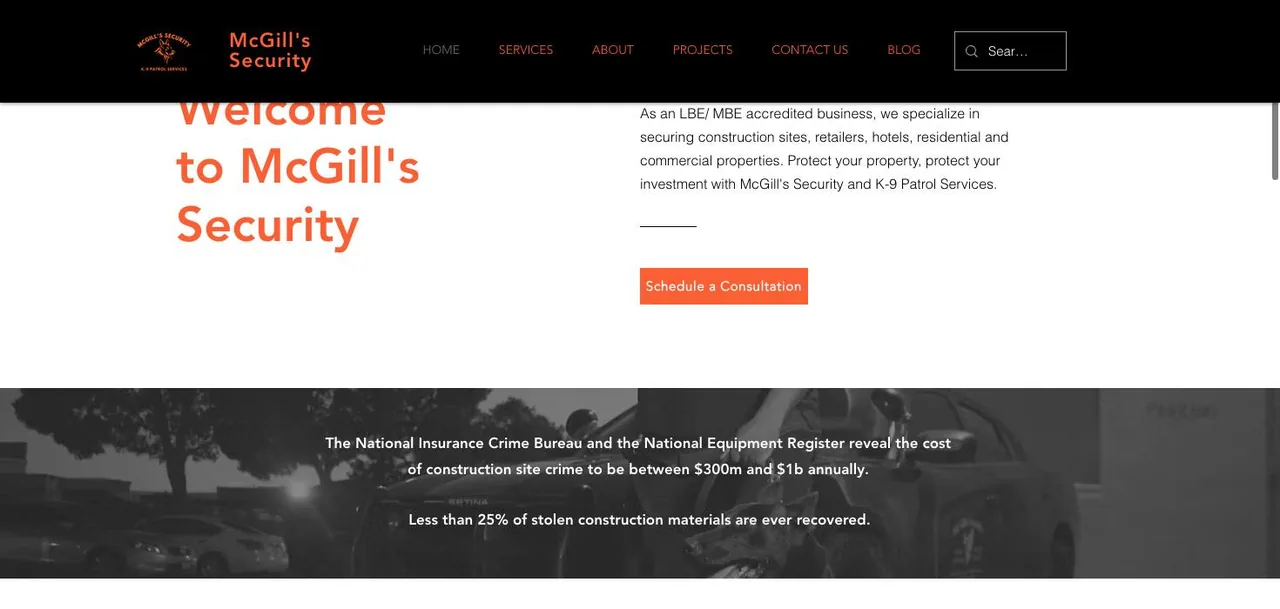 McGill's Security cover