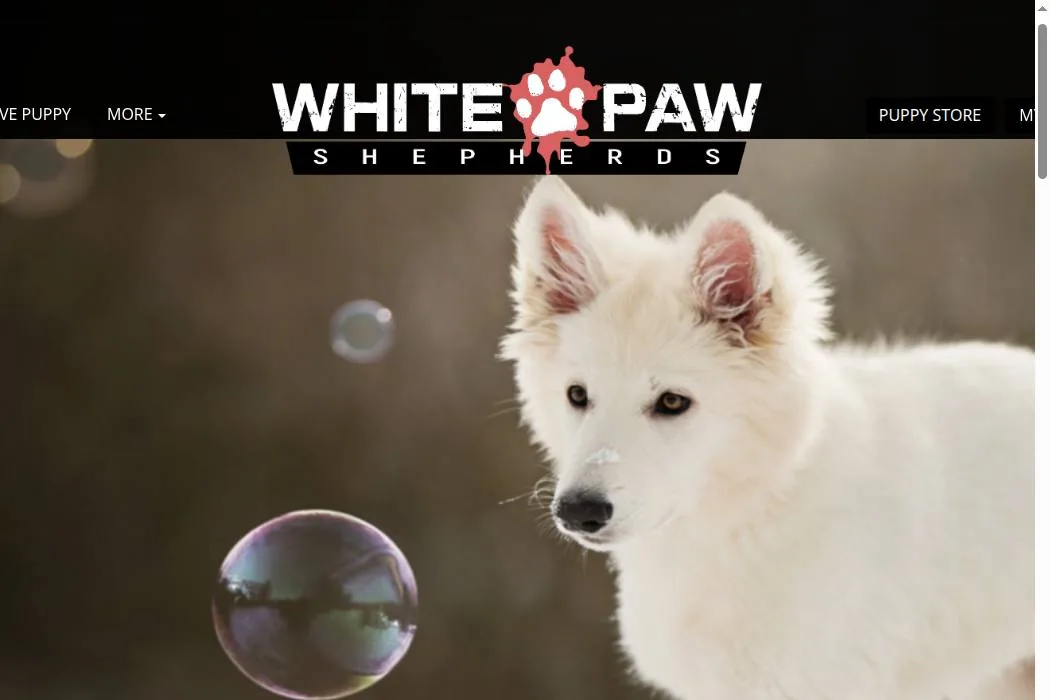 White Paw Shepherds cover