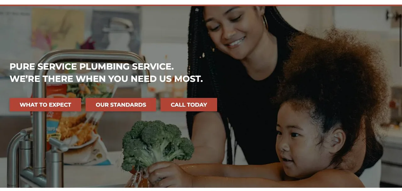 Pure Service Plumbing cover