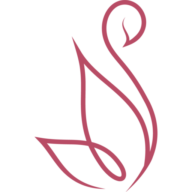 Premier Aesthetics MD PLLC logo