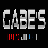 Gabe's Heating & Air, LLC logo