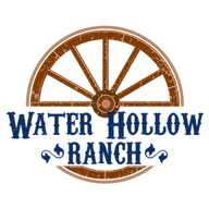 Bluebell Corn Maze logo