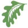 Oak & Palm Home logo