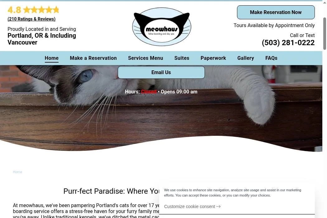 Meowhaus cover