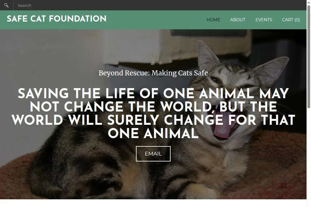 Safe Cat Foundation cover