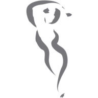 The Skin Loft Med Spa logo