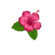 Island Girl Pedicure logo
