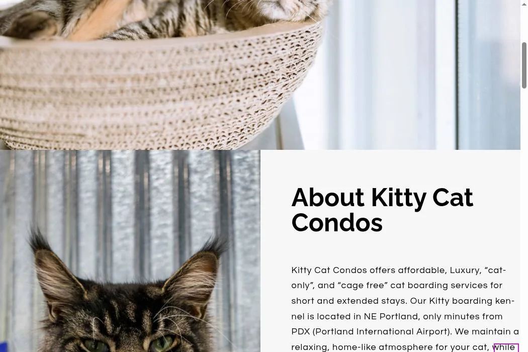 Kitty Cat Condos cover