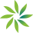 Morrison Child and Family Services logo