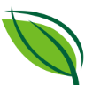Basilico Ristorante logo