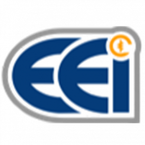 Elan Electric Inc logo