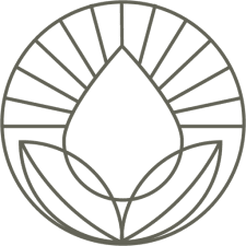 The Medical Spa of Gaston logo