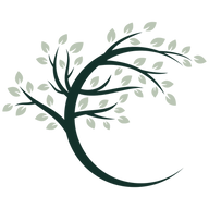 holisticbeautycisco-com logo