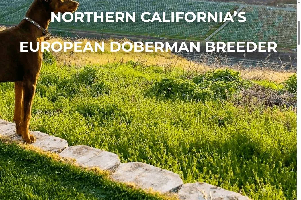 West Coast Doberman Ranch cover