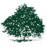 American Heritage Trees, LLC logo
