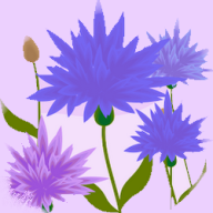 Lilac Daycare logo