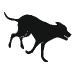 Piedmont Pet LLC logo