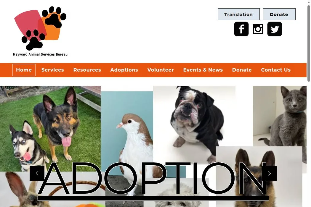 Hayward Animal Services Bureau cover