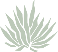 CasaBlanca Spa logo