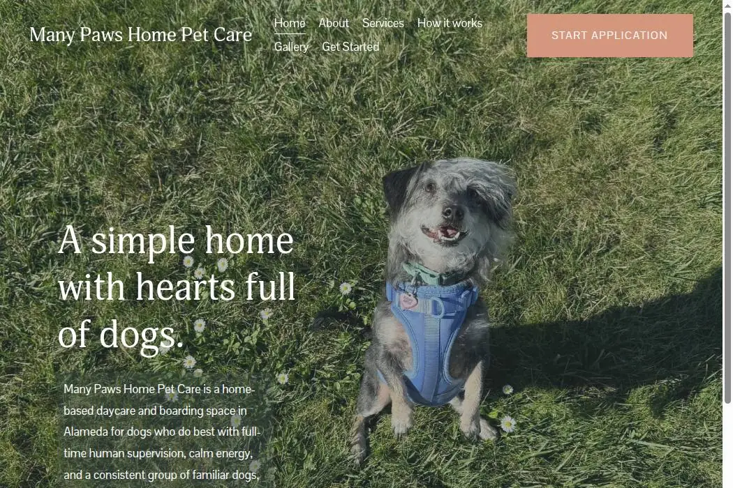 Many Paws Home Pet Care cover