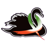 Il Cigno Italiano logo