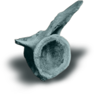 The Belly of the Whale logo