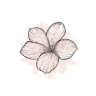 Suwana Asian Cuisine Waynesville logo