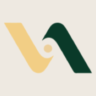 Visionary Aesthetics logo