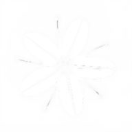 Cherrywood Coffeehouse logo