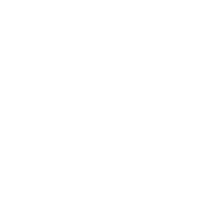 Omnia Cargo Solutions LLC logo
